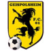 Equipe FC Geispolsheim.png