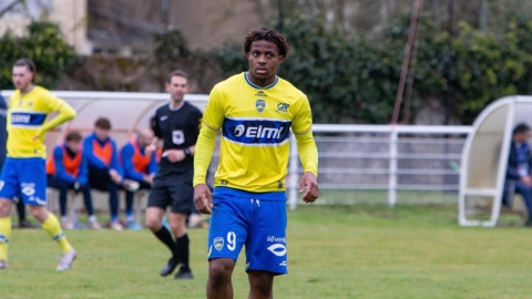 N3.jpg