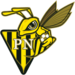 Equipe FC_Progrès_Niederkorn_(logo).png